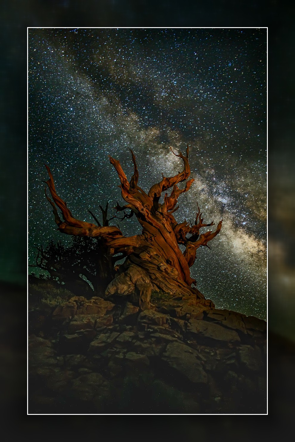 8B2A7710-Edit-Edit.jpg : Milkyway Galaxy over the Ancient Bristlecone Pines