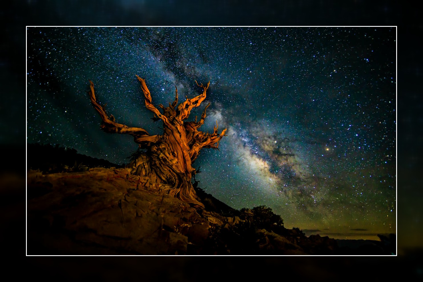 8B2A7704-Edit-2.jpg : Milkyway Galaxy over the Ancient Bristlecone Pines