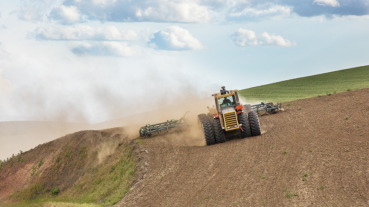 7S5A8338-1a.jpg : Palouse