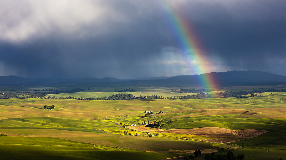 7S5A8424-2b.jpg : 무지개가 있는 Palouse