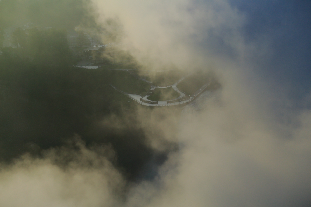 _MG_7654.JPG