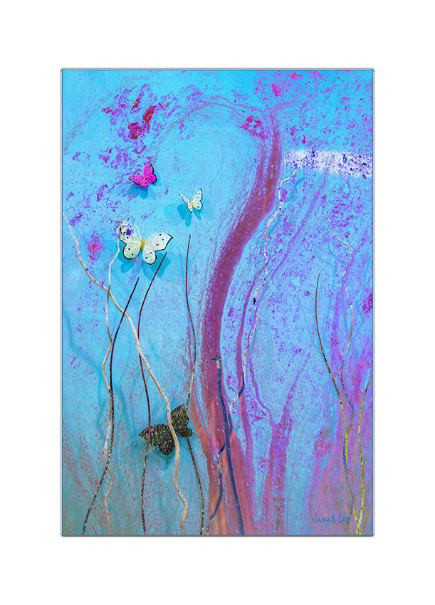 54_YJL9081rrrm5rrncs.jpg : Dreaming