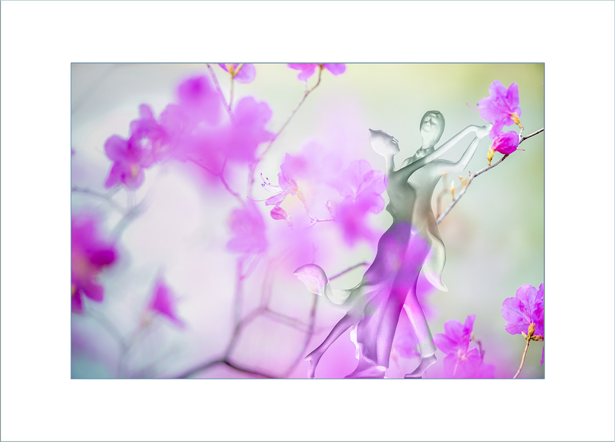 12_YJL3159rm2rcs.jpg : Spring Waltz