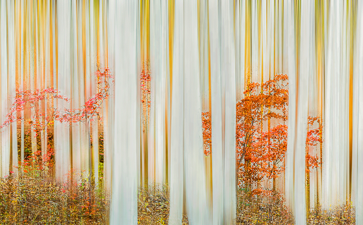 24_YJL9984rrhsrbs.gif : Autumn Impression 2