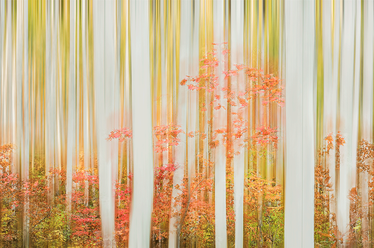 26_YJL0018rbs.gif : Autumn Impression 3