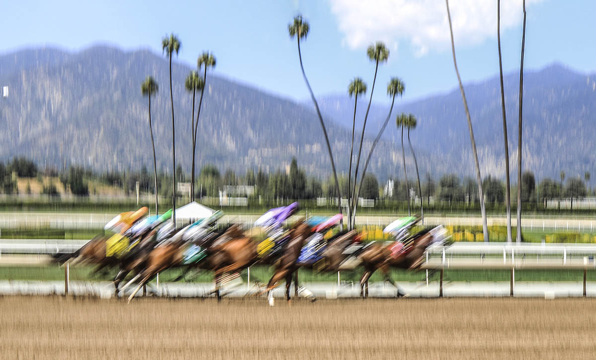 CX2A2783-2a.jpg : Santa Anita Park [ 경마장 ]