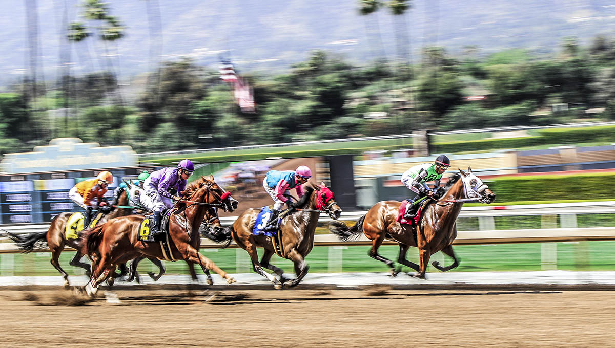 CX2A2776-1a.jpg : Santa Anita Park [ 경마장 ]
