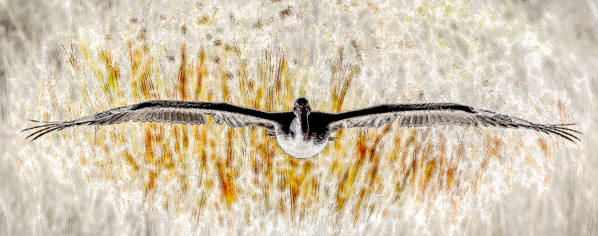 _D714480-Edit.jpg : Fright