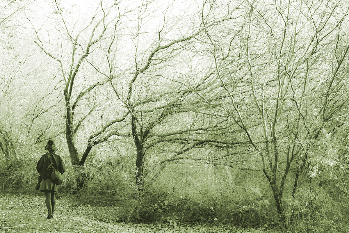 _YJL0198rhsdclrr3s.jpg : winter