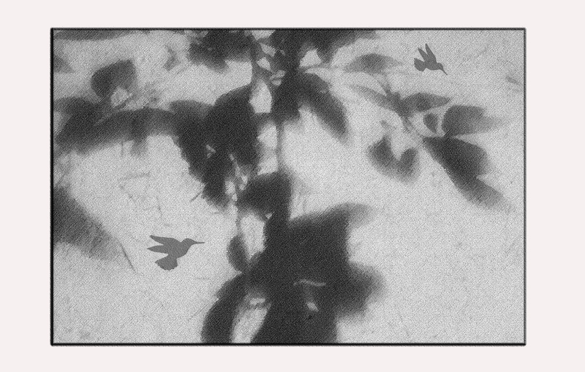 new s.jpg : 수묵화처럼