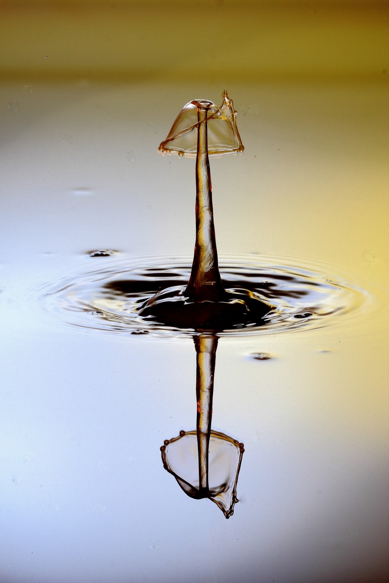 EOS 60D_9999_234.jpg
