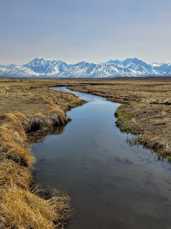 20250329_150152~2-Edit.jpg : Owens River