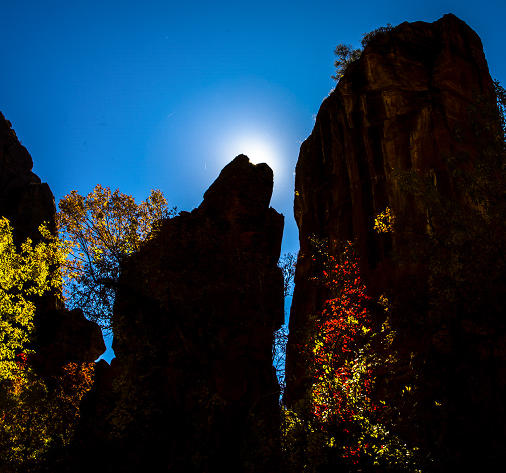 0J1A7350-2a.jpg