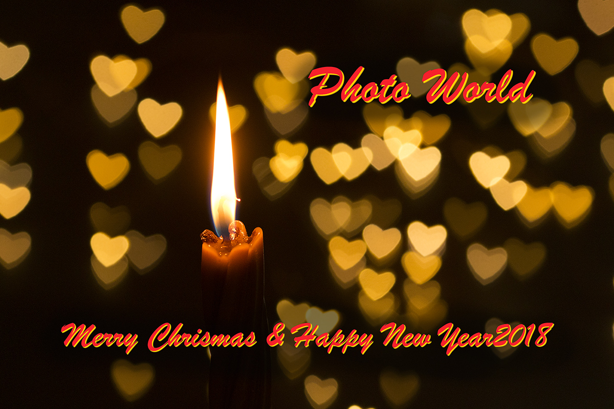 5I4A6904-1d.jpg : Merry Chrismas & Happy New Year !