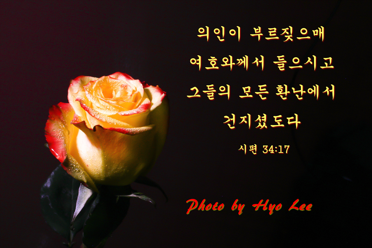 IMG_5261-1.jpg : 졸업사진
