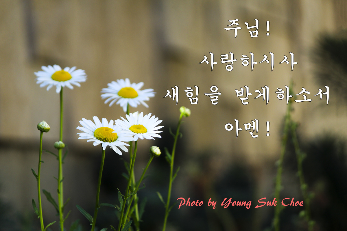 IMG_1959-3.jpg : 졸업사진