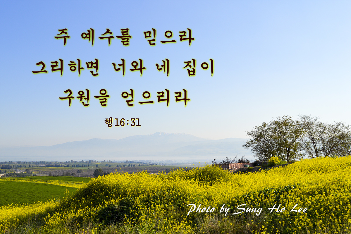 DSC_0187-1.jpg : 졸업사진