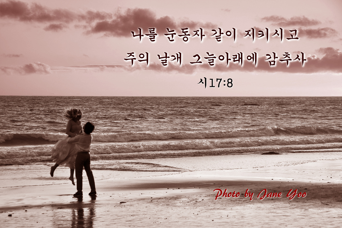 _DSC0179-1.jpg : 졸업사진
