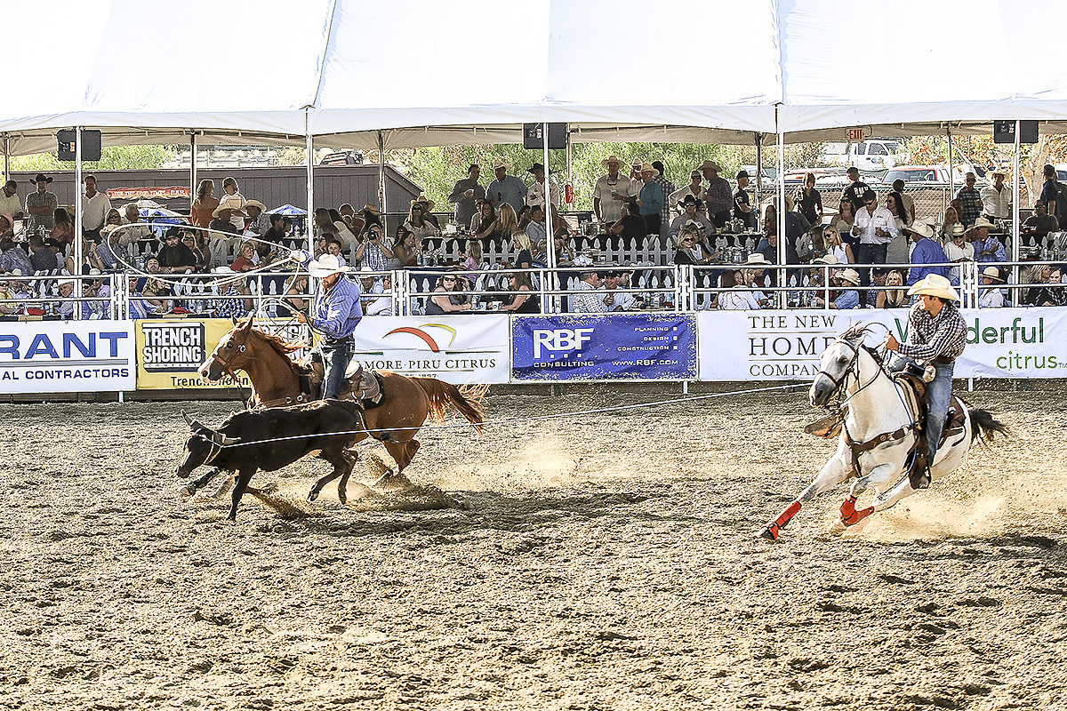 11-2a-1.jpg : Rodeo