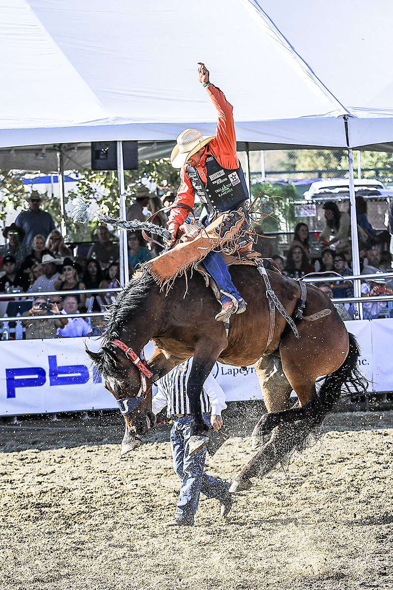 11-5b-1.jpg : Rodeo
